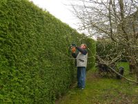 Hecke-02.jpg